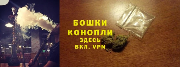 ПСИЛОЦИБИНОВЫЕ ГРИБЫ Ладушкин