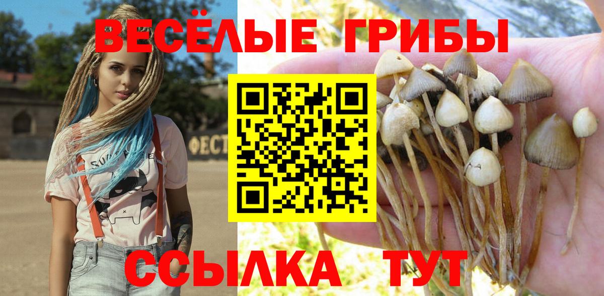 Псилоцибиновые грибы прущие грибы  Вход с VPN  Галлюциногенные грибы мухоморы  Каменск-Уральский 