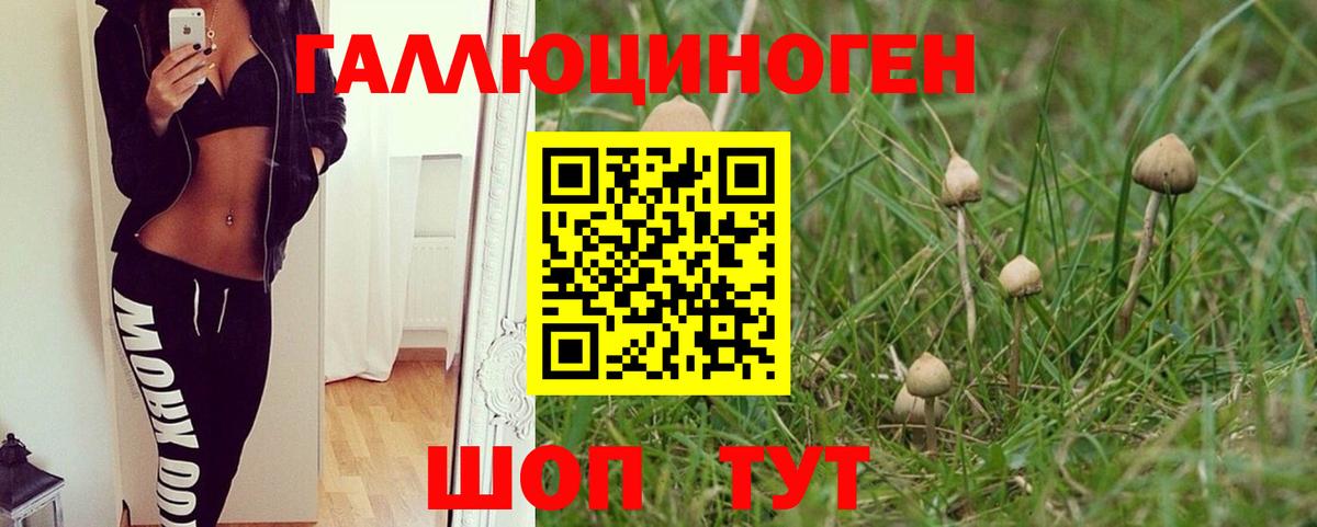 Галлюциногенные грибы MAGIC MUSHROOMS  Каменск-Уральский 